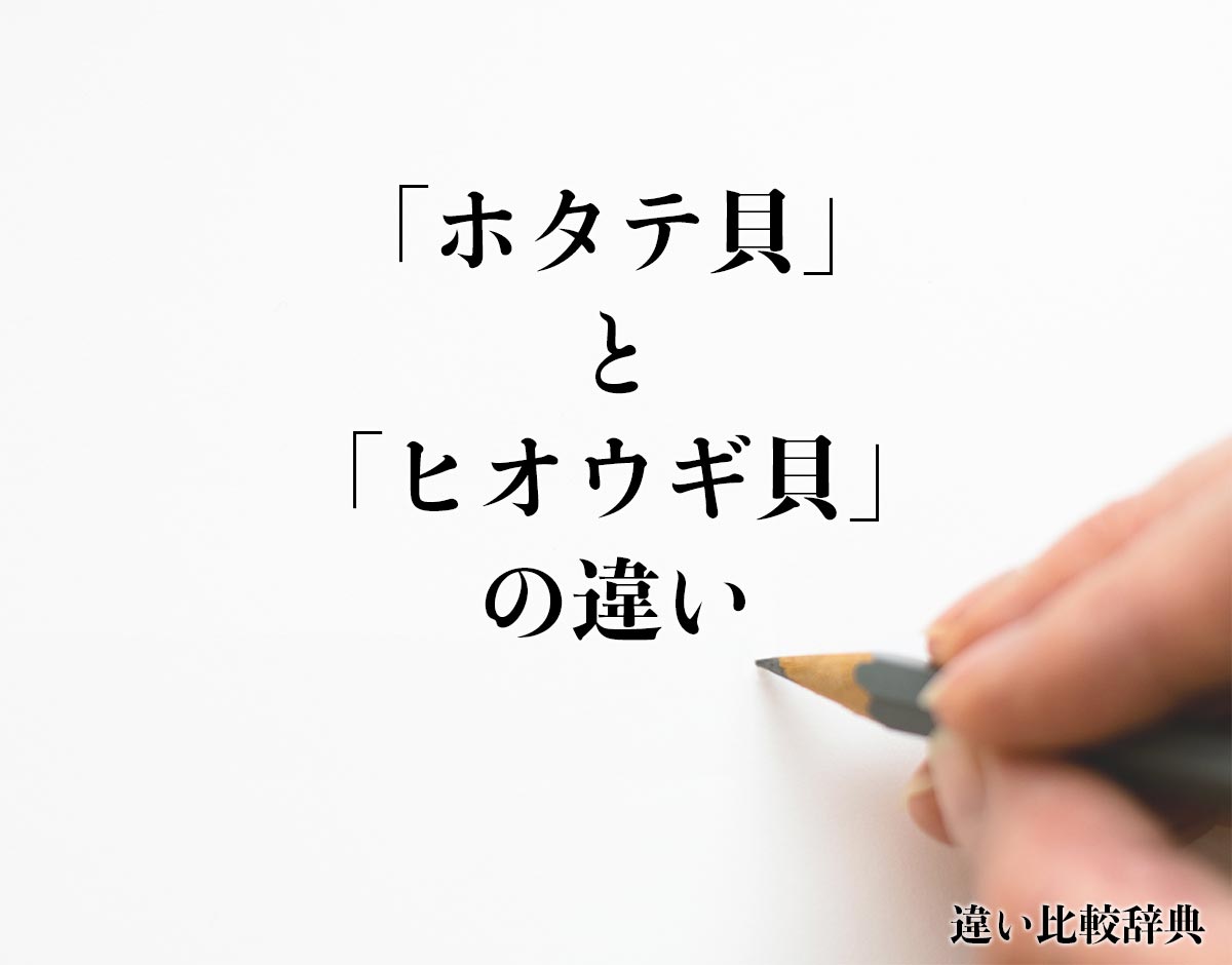 「ホタテ貝」と「ヒオウギ貝」の違い