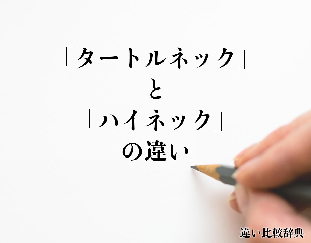 「タートルネック」と「ハイネック」の違い