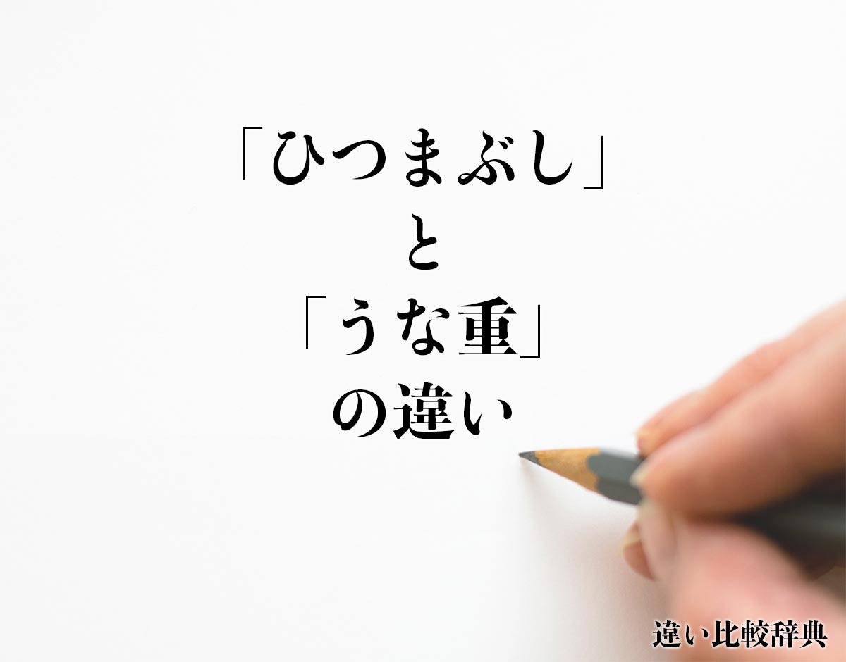 「ひつまぶし」と「うな重」の違い