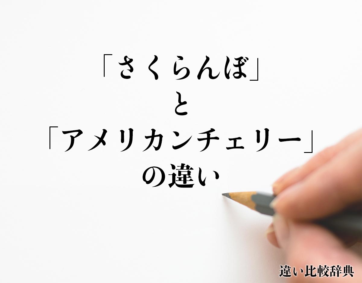 「さくらんぼ」と「アメリカンチェリー」の違いとは？