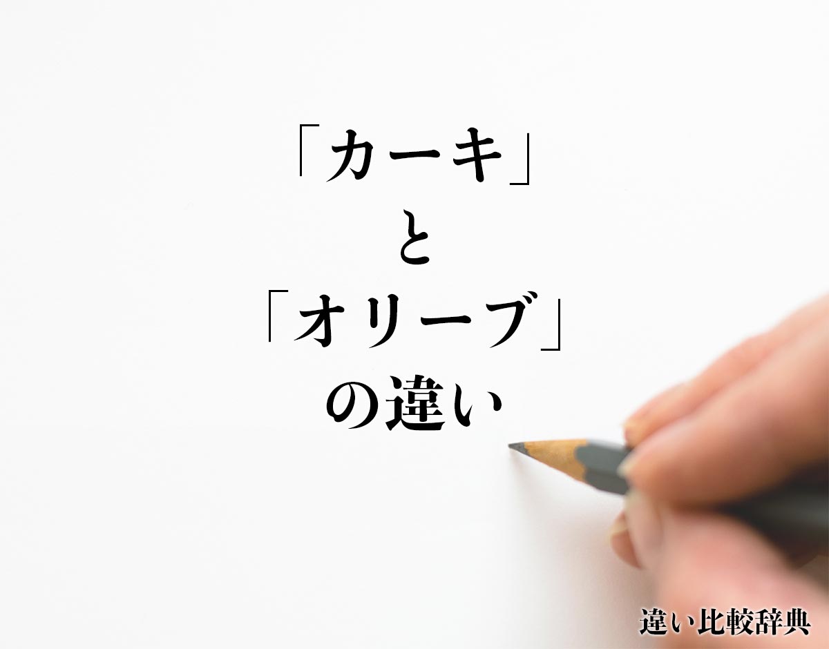 「カーキ」と「オリーブ」の違いとは？