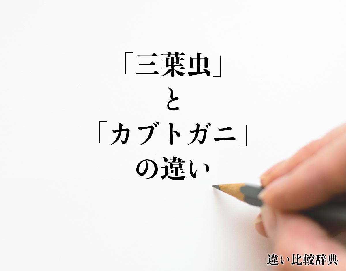 「三葉虫」と「カブトガニ」の違いとは？