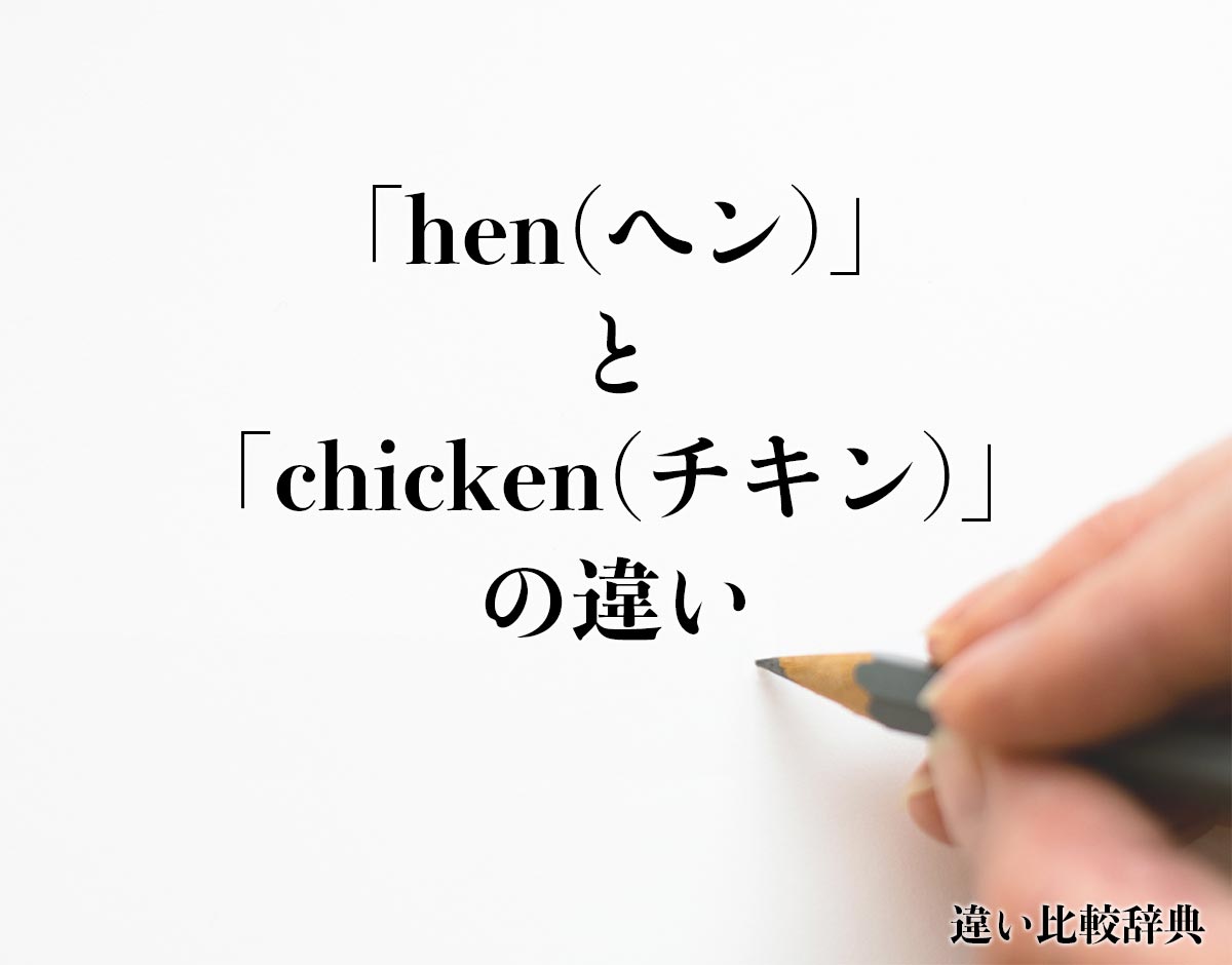 「hen(ヘン)」と「chicken(チキン)」の違いとは？分かりやすく解釈
