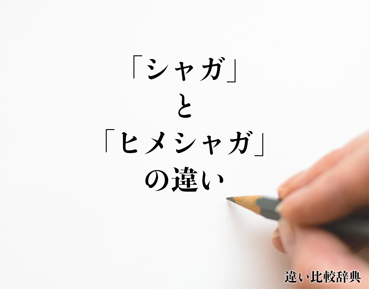 「シャガ」と「ヒメシャガ」の違いとは？