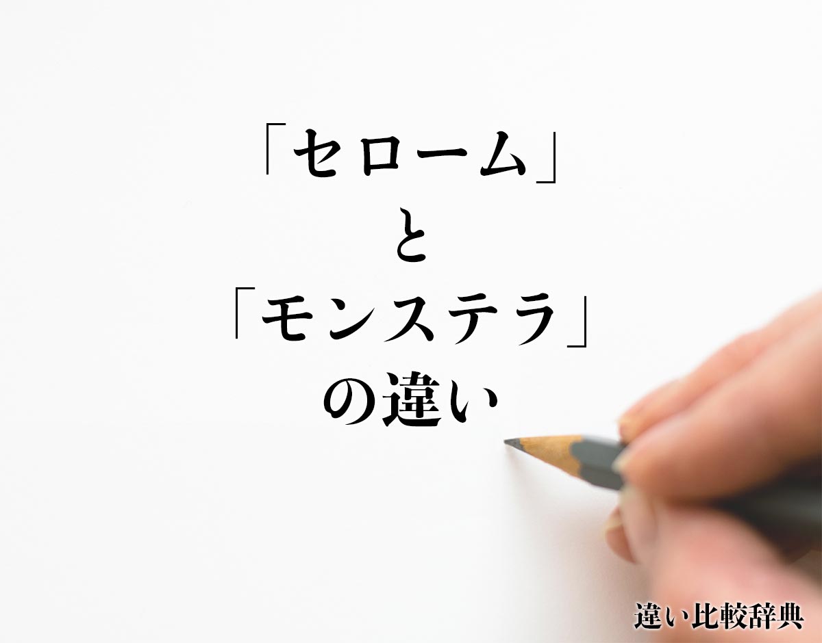 「セローム」と「モンステラ」の違いとは？