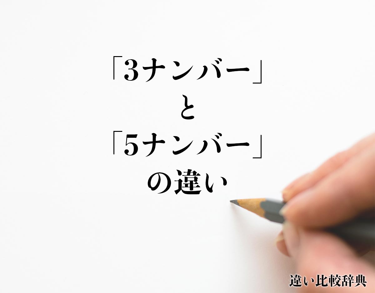 「3ナンバー」と「5ナンバー」の違いとは？分かりやすく解釈