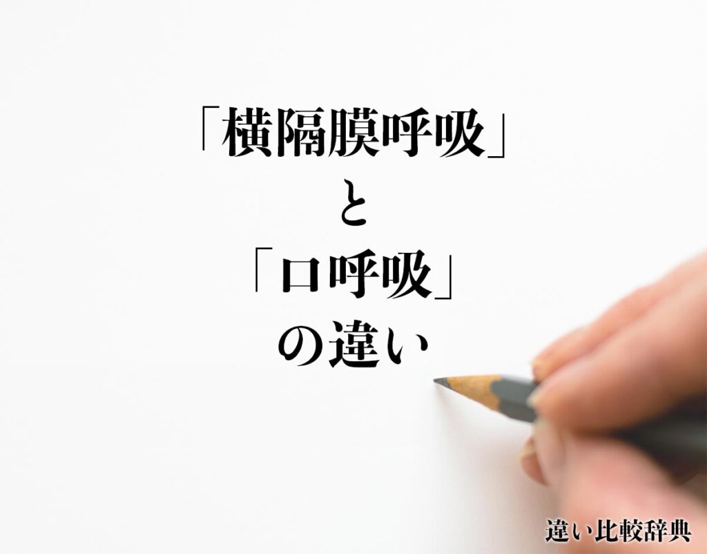 横隔膜呼吸の利点