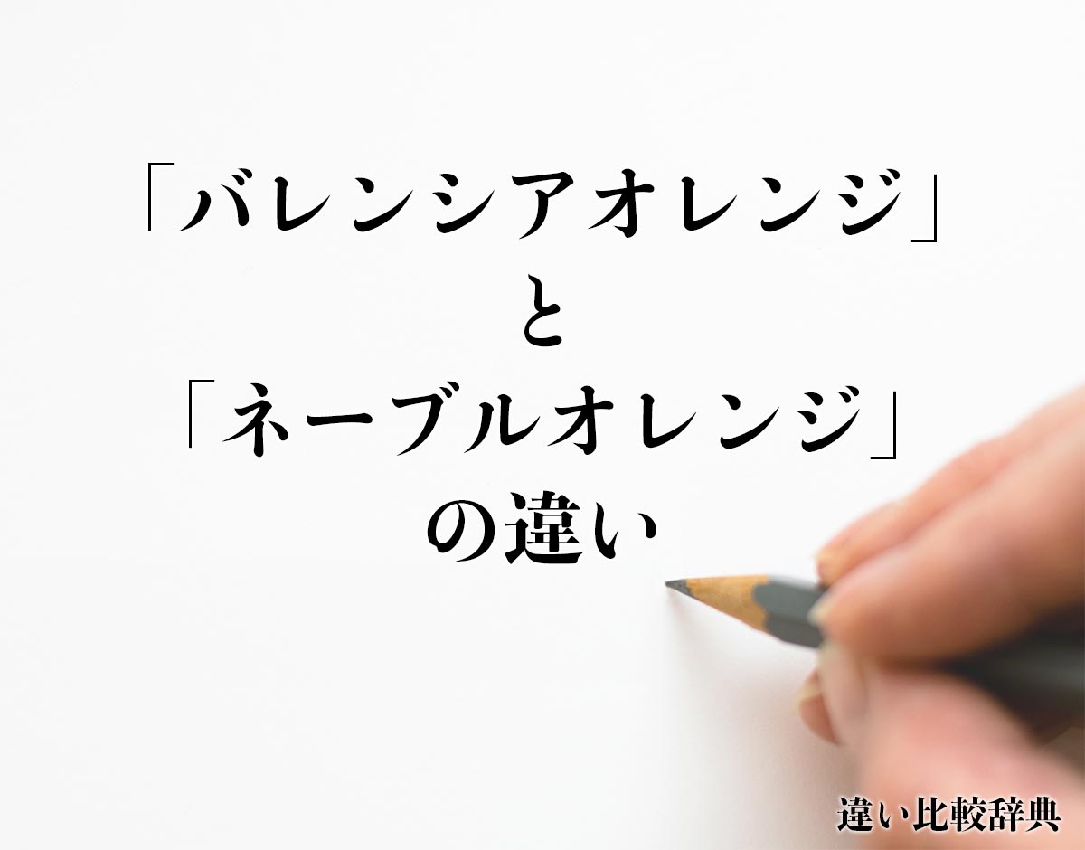 「バレンシアオレンジ」と「ネーブルオレンジ」の違いとは？