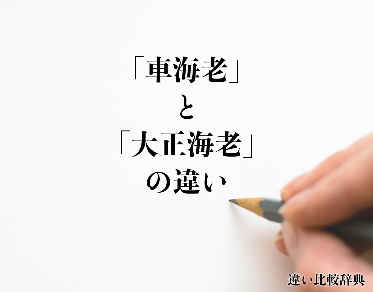 「車海老」と「大正海老」の違いとは？