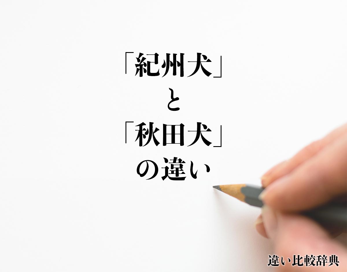 「紀州犬」と「秋田犬」の違いとは？