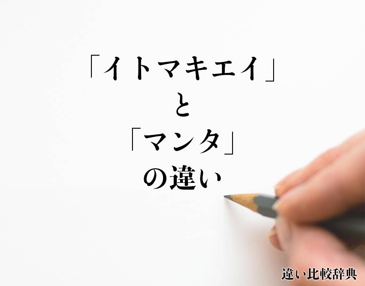 「イトマキエイ」と「マンタ」の違いとは？分かりやすく解釈