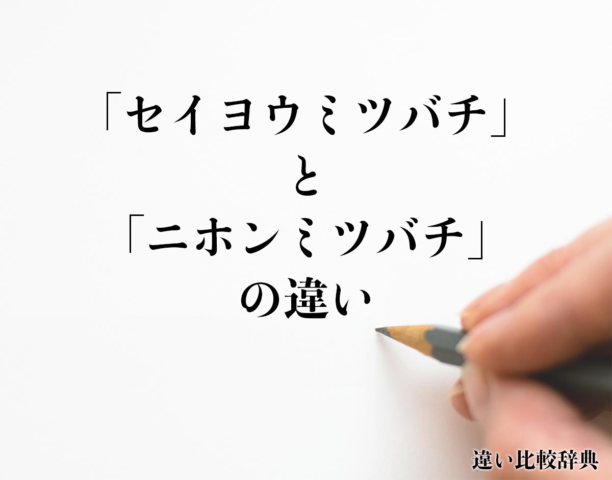 「セイヨウミツバチ」と「ニホンミツバチ」の違いとは？