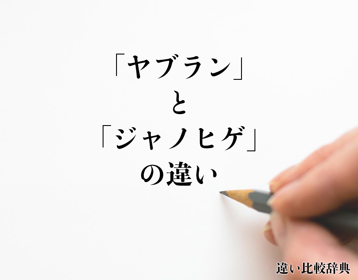 「ヤブラン」と「ジャノヒゲ」の違いとは？