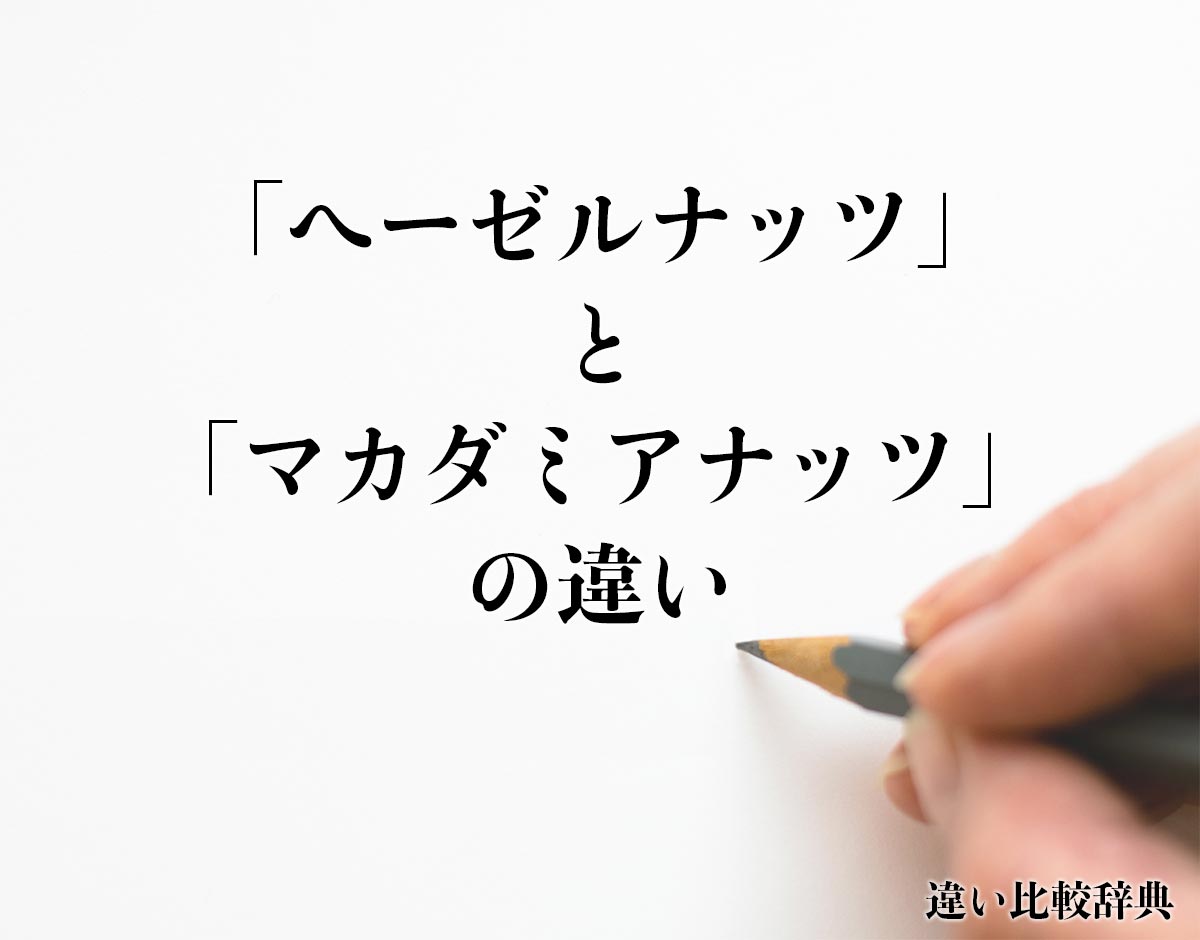 「ヘーゼルナッツ」と「マカダミアナッツ」の違いとは？