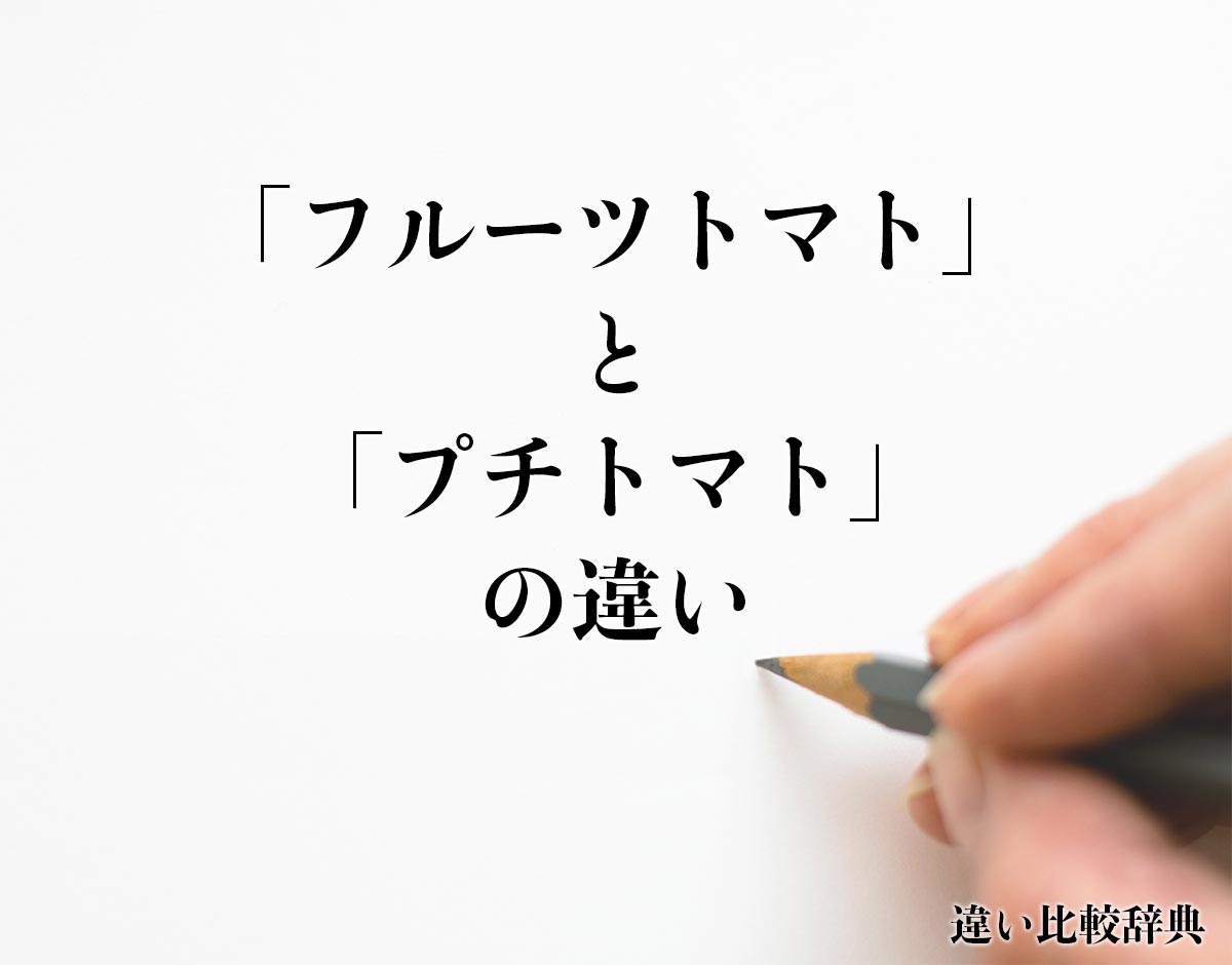 「フルーツトマト」と「プチトマト」の違いとは？分かりやすく解釈