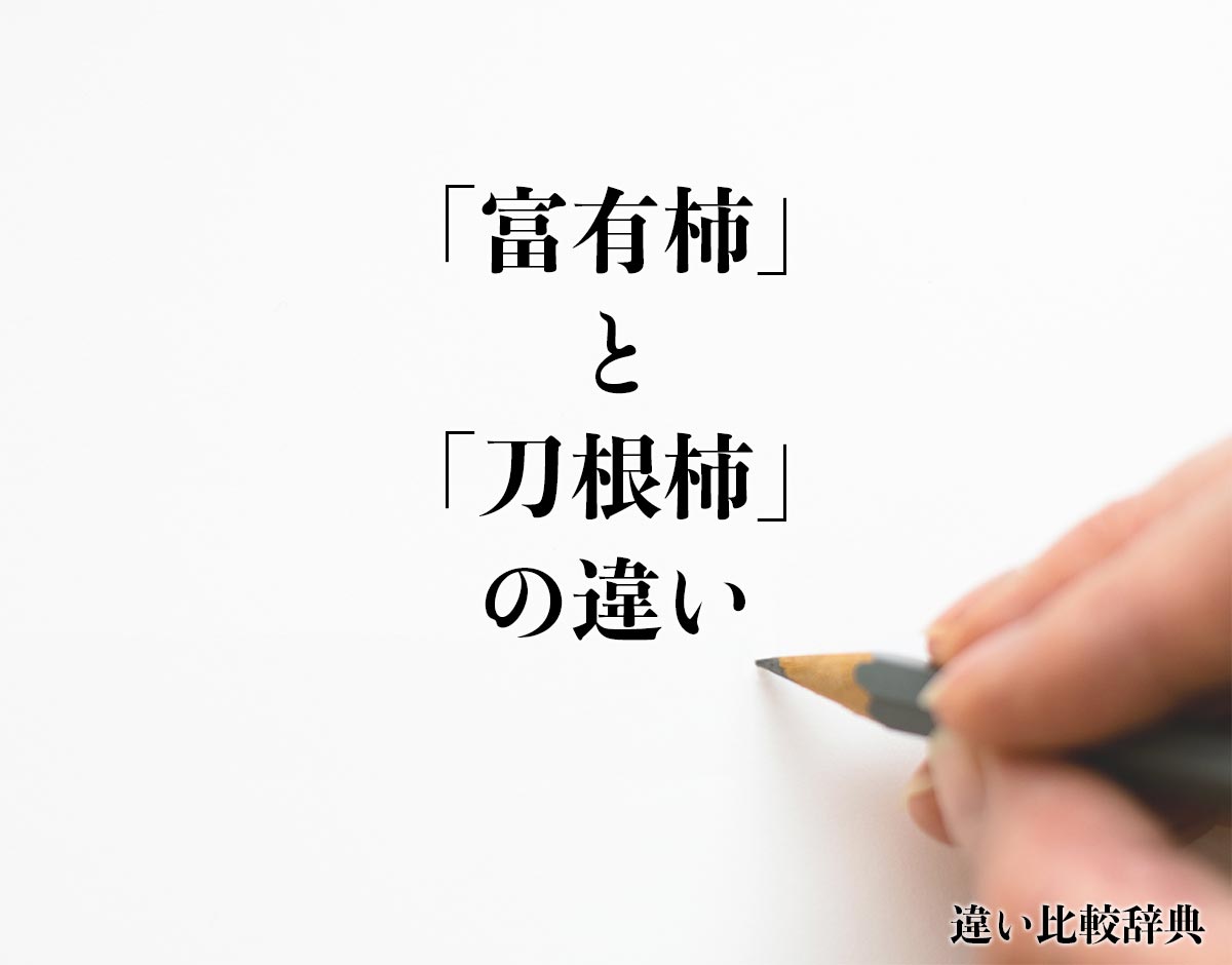 「富有柿」と「刀根柿」の違いとは？