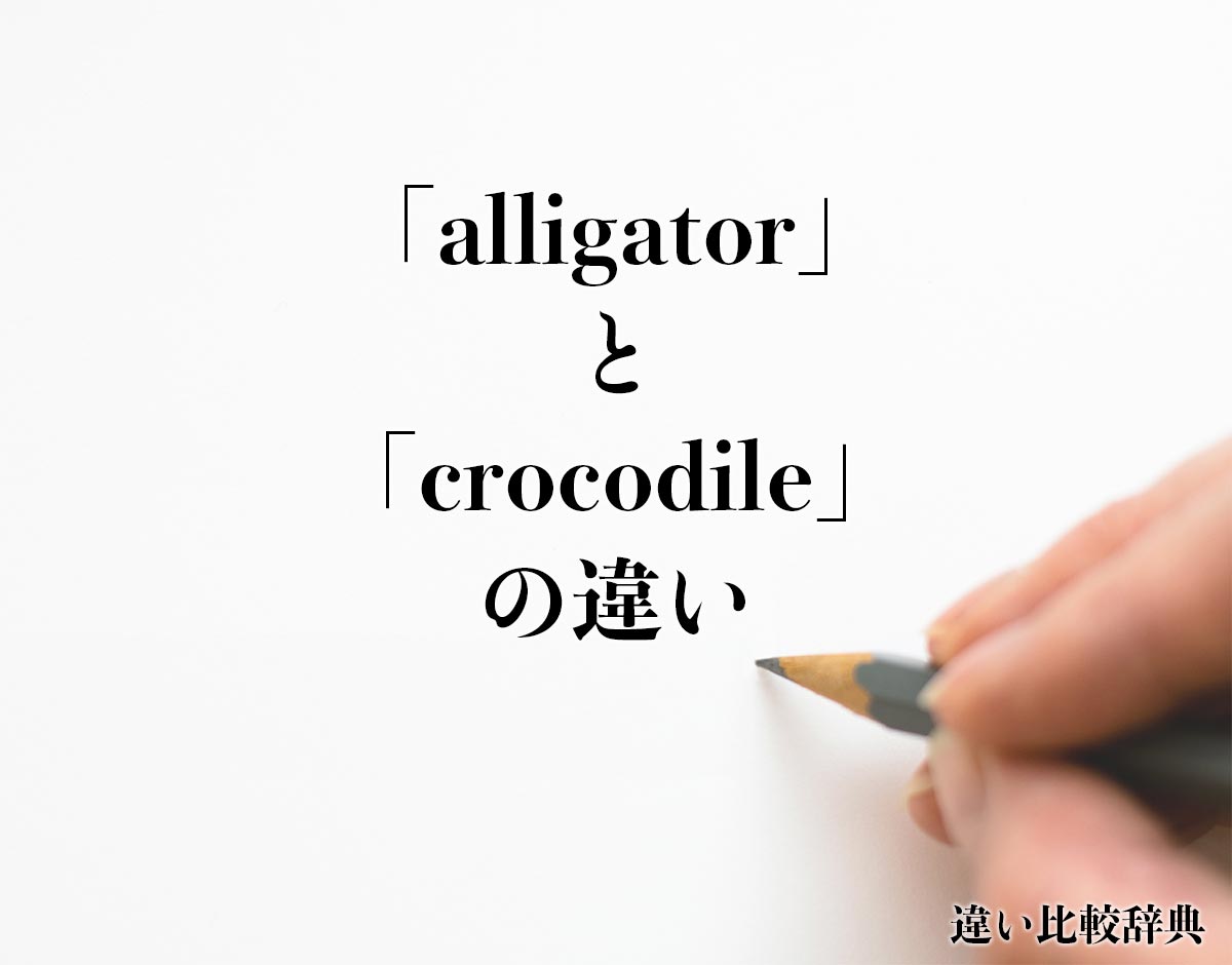 「alligator」と「crocodile」の違いとは？