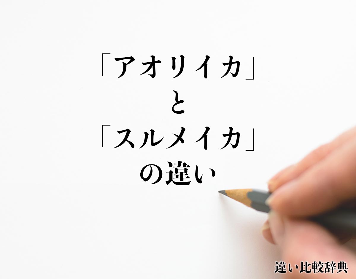 「アオリイカ」と「スルメイカ」の違いとは？