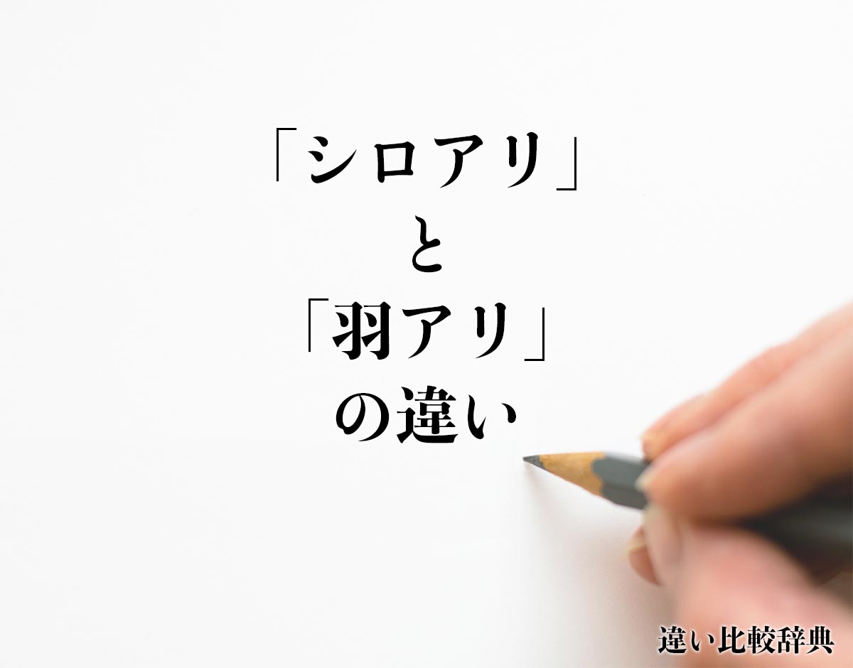 「シロアリ」と「羽アリ」の違いとは？