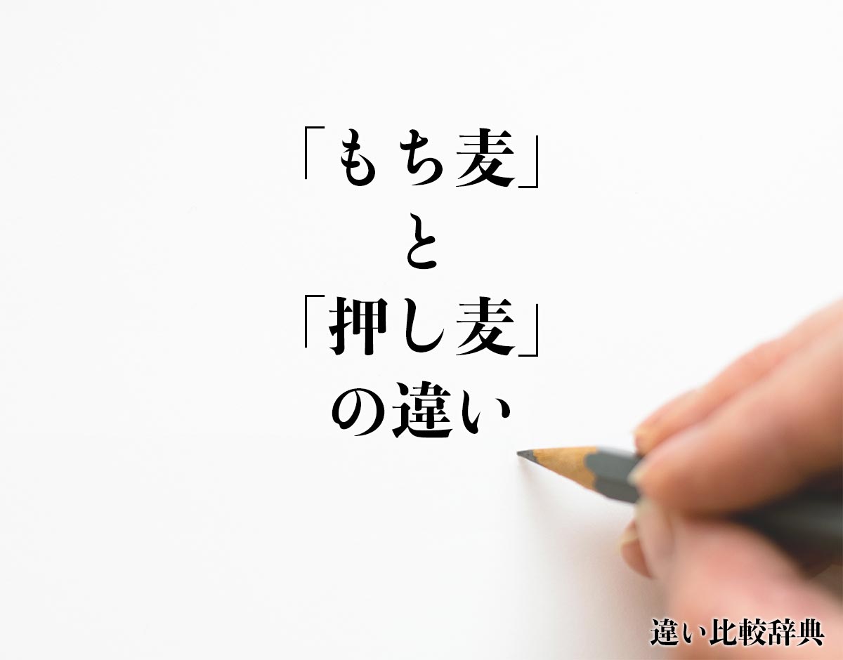 「もち麦」と「押し麦」の違いとは？