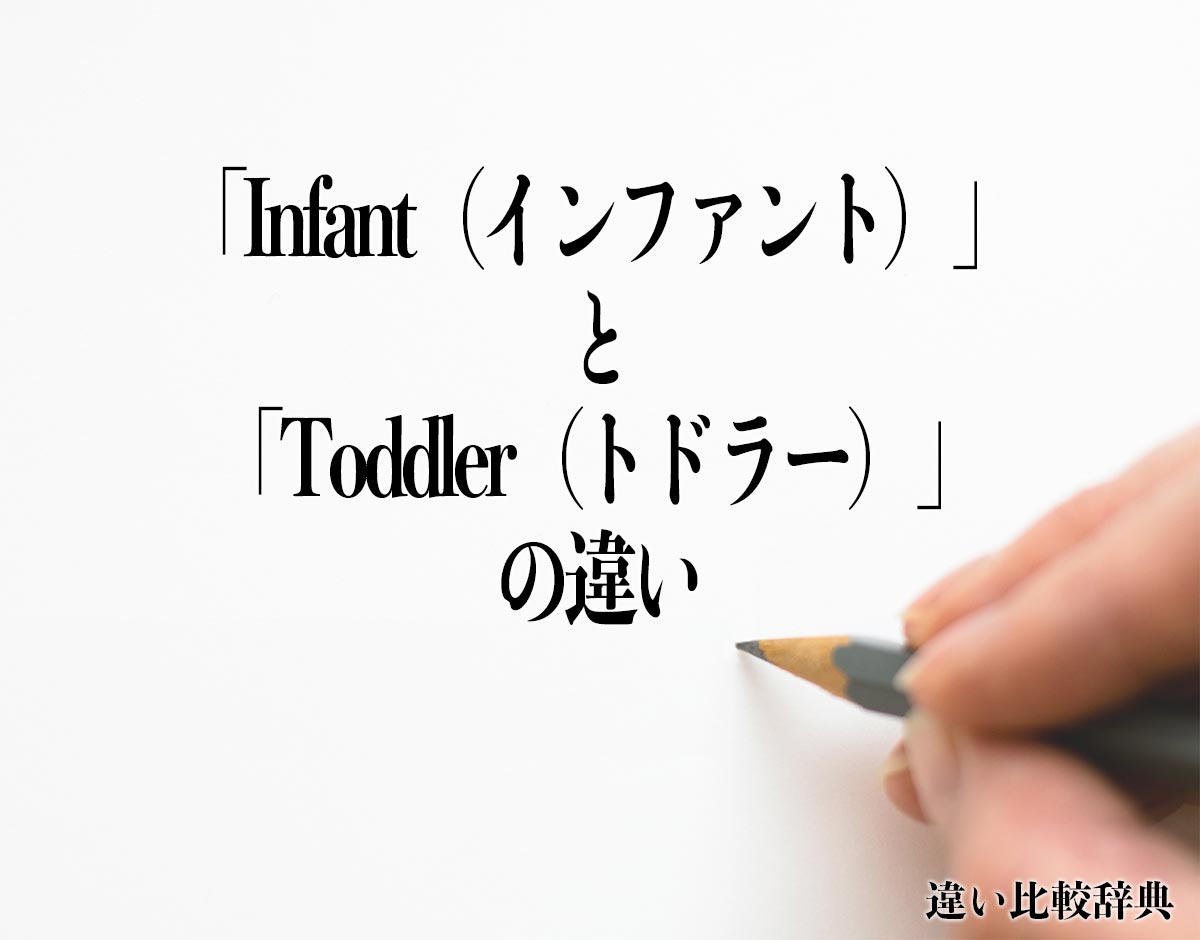 「Infant（インファント）」と「Toddler（トドラー）」の違いとは？