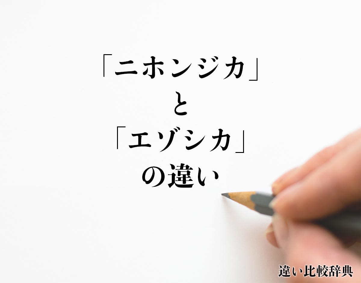 「ニホンジカ」と「エゾシカ」の違いとは？