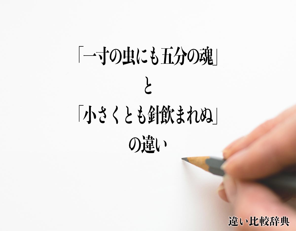 「一寸の虫にも五分の魂」と「小さくとも針飲まれぬ」の違いとは？