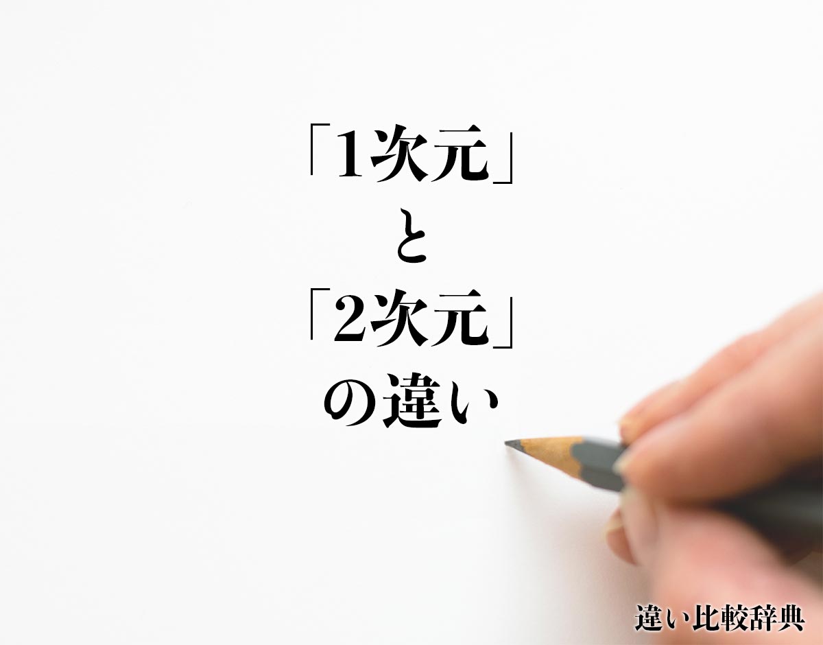 「1次元」と「2次元」の違いとは？