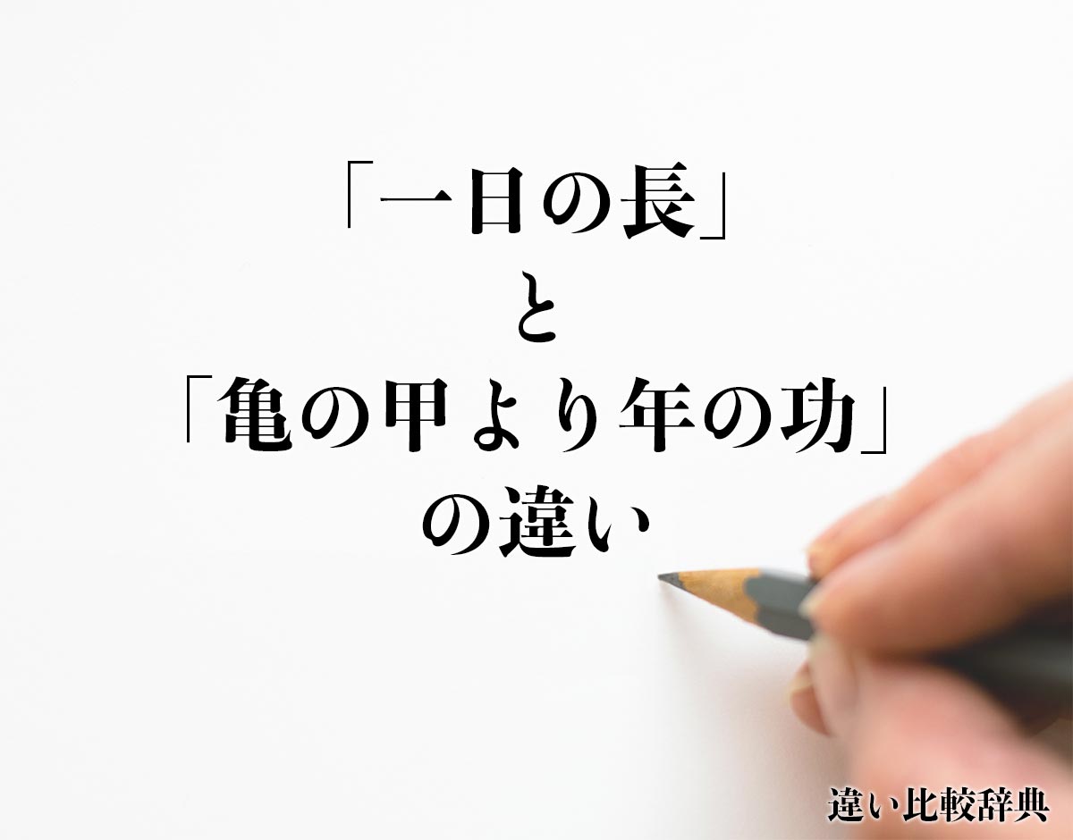 「一日の長」と「亀の甲より年の功」の違いとは？