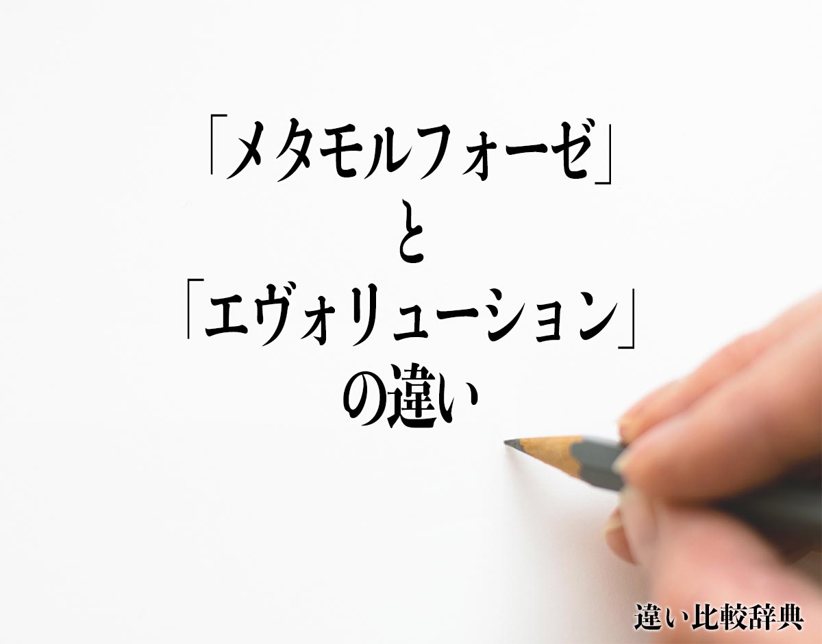 「メタモルフォーゼ」と「エヴォリューション」の違いとは？