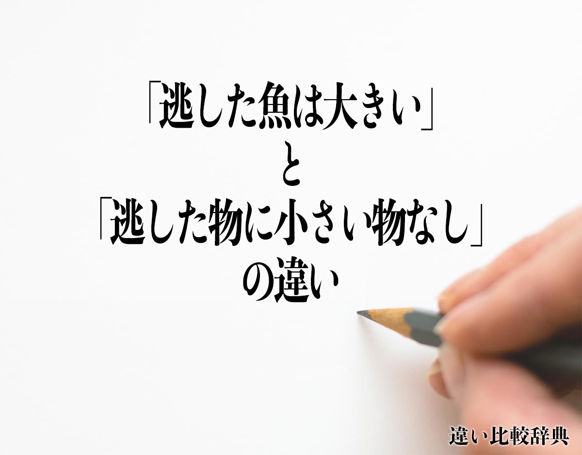 「逃した魚は大きい」と「逃した物に小さい物なし」の違いとは？