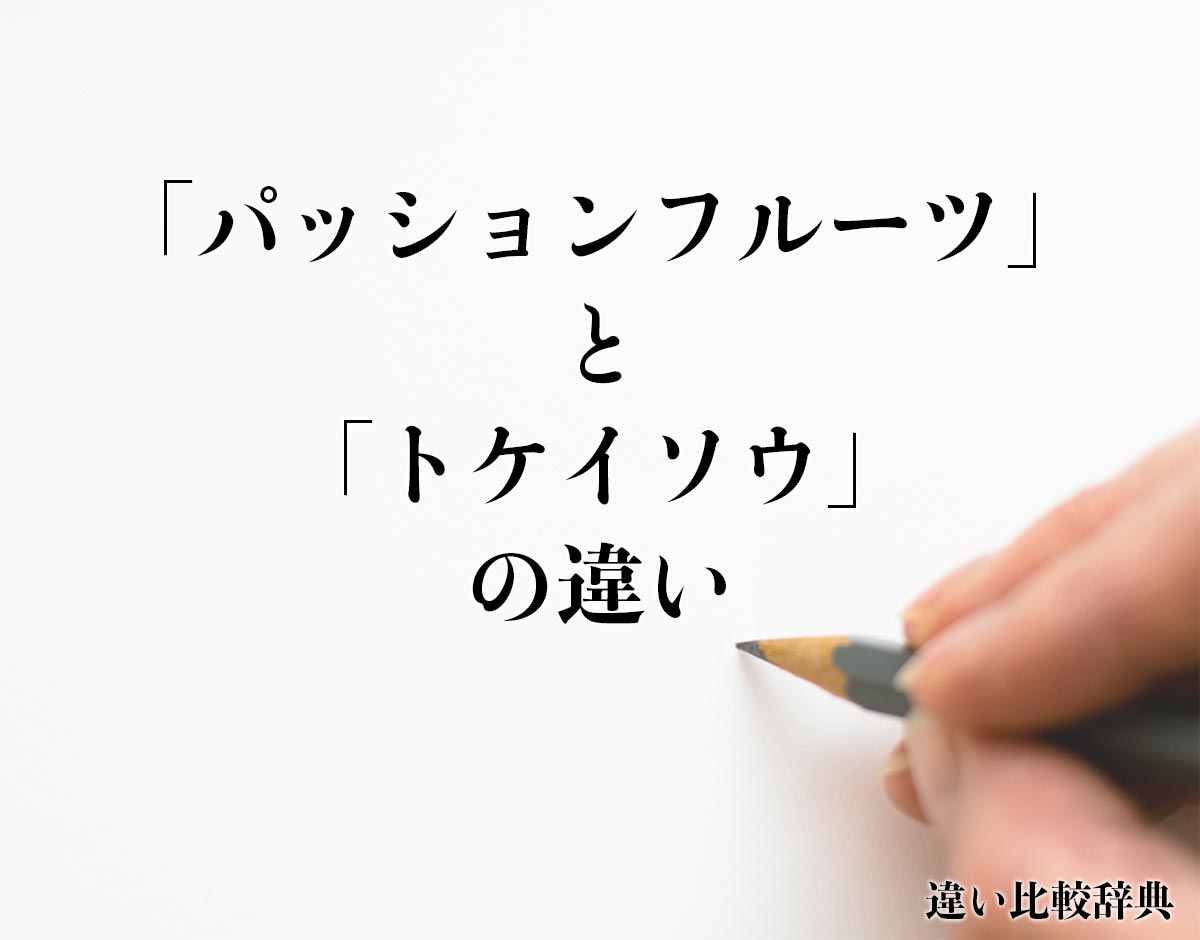 「パッションフルーツ」と「トケイソウ」の違いとは？