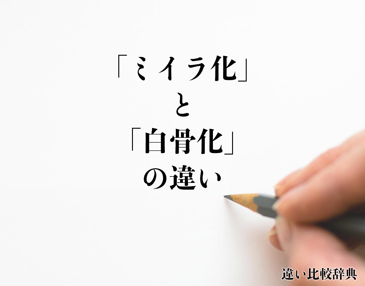 「ミイラ化」と「白骨化」の違いとは？