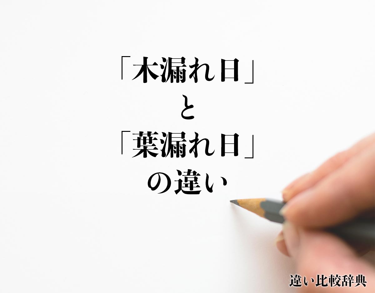 「木漏れ日」と「葉漏れ日」の違いとは？