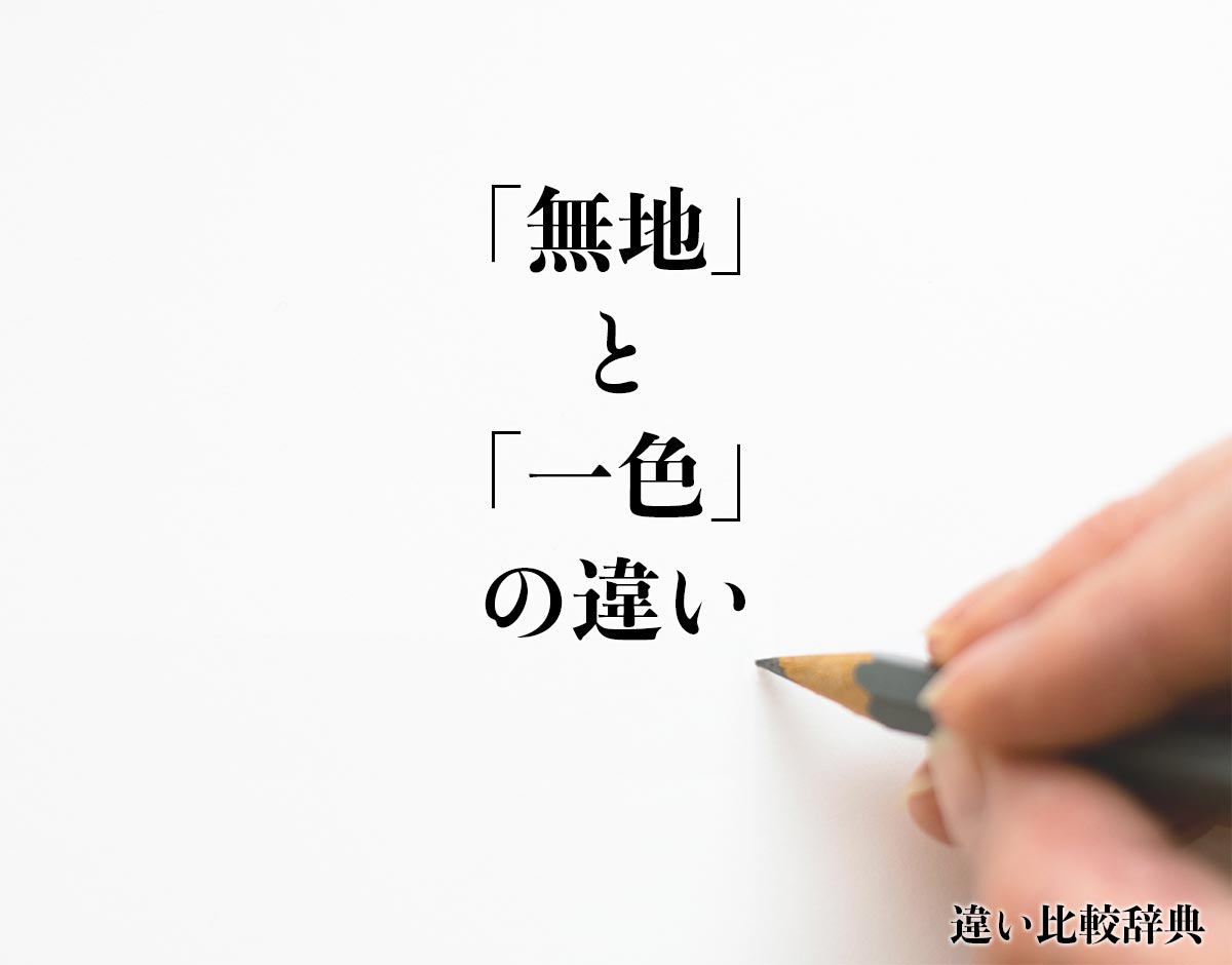 「無地」と「一色」の違いとは？