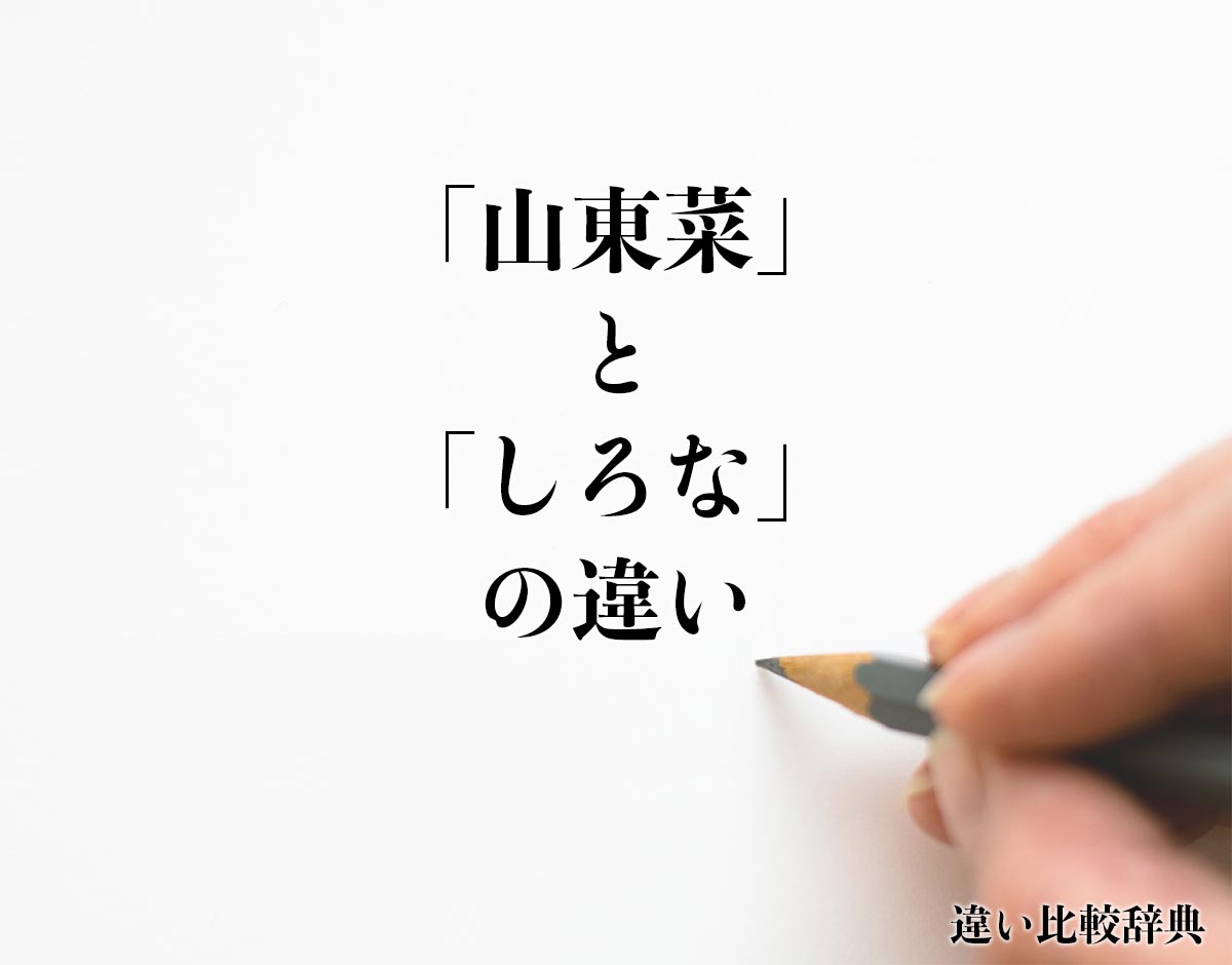 「山東菜」と「しろな」の違いとは？