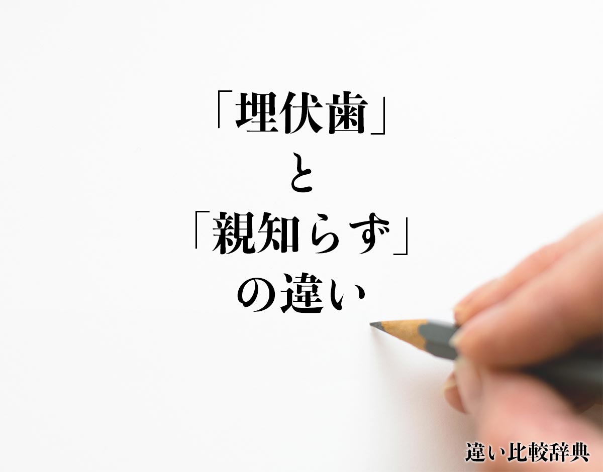 「埋伏歯」と「親知らず」の違いとは？